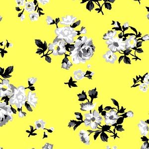 Meet your Posher, Cassandra